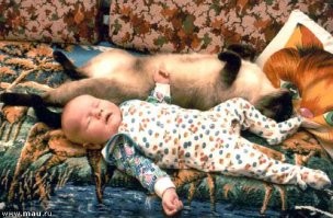 Совместимость... Они так похожи...