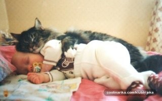 Совместимость... Они так похожи...