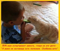 Совместимость... Они так похожи...
