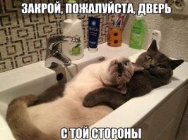 Фотоприколы и&nbsp;прикольные картинки