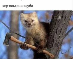 Фотоприколы и&nbsp;прикольные картинки