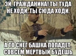 Падение огромного дерева на машину с пассажирами попало на видео