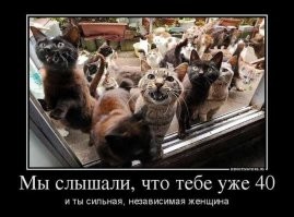 Когда Джулии стукнуло 30, а замуж она так и не вышла и детей не родила, она неожиданно услышала из курятника мяуканье. И нашла там кота. Когда её стукнуло 31, к ней пришёл второй кот.  Поголовье котов росло, они всё прибывали и прибывали, пока её не стукнуло 40. Вот тут-то Джулия начала что-то понимать, но было уже позняк метаться.