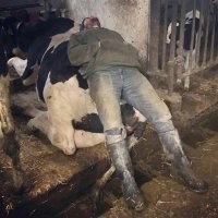 Так надо отдыхать