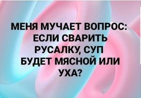 Мясо морского конька - это конина?