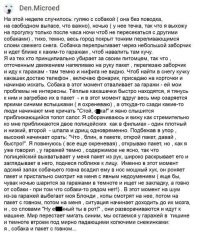 Фотоприколы и&nbsp;прикольные картинки