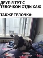 А телочки  любят когда парни их на своей тачке катают и когда спят с ними :)