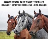 Фотоприколы и&nbsp;прикольные картинки