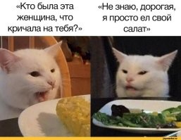 Мемные расследования: история появления кота и истеричных женщин
