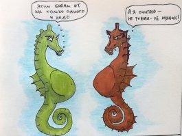 Мясо морского конька - это конина?