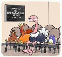 Вся суть многих современных тренингов...