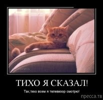 Скрины из соцсетей&nbsp;