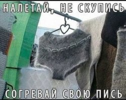 Скрины из соцсетей&nbsp;