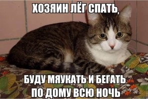 Не ищите здесь смысл. Здесь в основном маразм