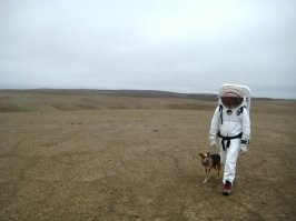 На Марсе заметили необычный камень, похожий на хребет рыбы