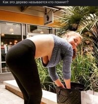 Фотоприколы и&nbsp;прикольные картинки