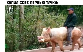 Купил себе седьмую тачку.