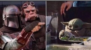 Мемные расследования: история появления кота и истеричных женщин