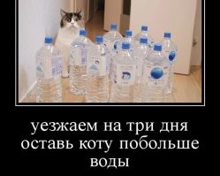 Не ищите здесь смысл. Здесь в основном маразм