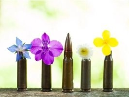 Планируют выпускать с семенами, но выпускают с обедненным ураном. Ну а обещать, как говориться, не значит - жениться.