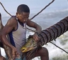 У Эди Мерфи дела совсем плохо стали смотрю