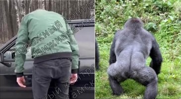 В Нижнекамске водители поставили на место наглого обочечника