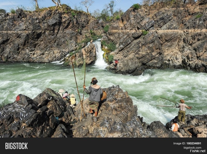 "они обошли практически всю планету." -  ага, обошли...  
Например, на  быстринах и водопадах реки Меконг, что в Лаосе, местные жители ловят рыбу практически таким же способом.  Да и вообще, на Земле немало таких рыболовов.