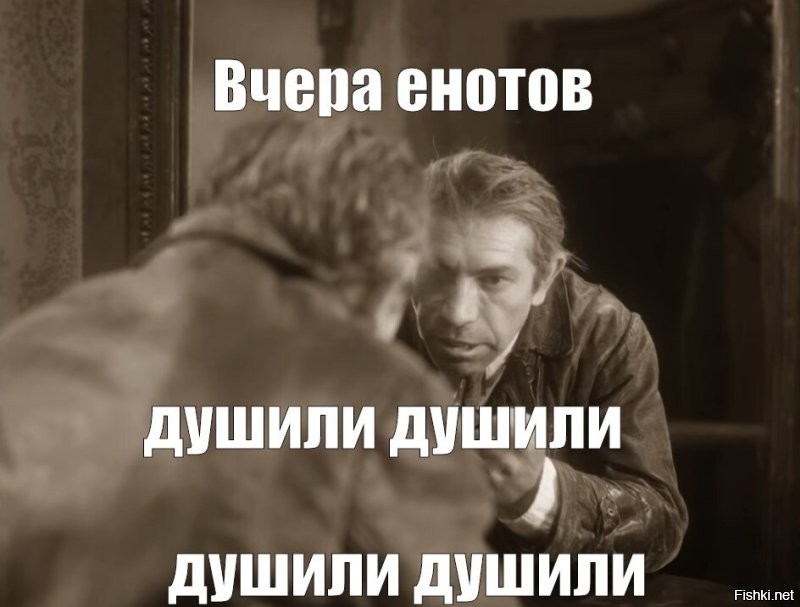 Про енотов: