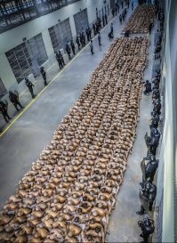 30 фото, доказывающих, что наш мир всё больше похож на антиутопию