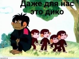 Активисты BLM воруют вещи из спортивного магазина