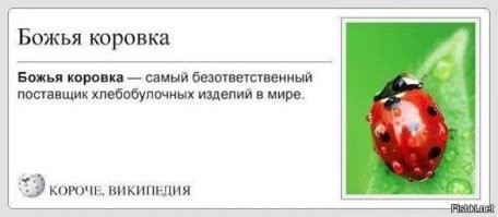 В СССР божьих коровок рассеивали с самолётов