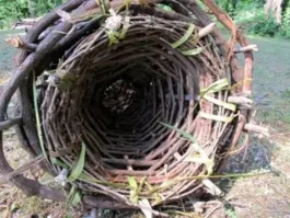 Несмотря на то, что сам не рыбак, но прекрасно помню, как ловили на подобные приспособления. Называется ловушка или Верша. Их плели своими руками из мелких прутьев по весне, пока прутья имели достаточную гибкость. Погружали же их в местах, где наибольшее течение, либо на прикормленных местах. 
Насколько понимаю, этому методу также многие сотни лет