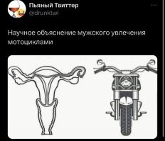 Фотоприколы и&nbsp;прикольные картинки