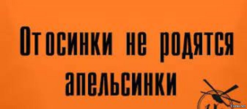 Не рождаются апельсинки. От Осинки не родятся апельсинки. Пословица от Осинки не родятся апельсинки. Не родятся апельсинки. От не родятся апельсинки поговорка.