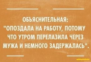 14 объяснительных, которые написаны по самым нелепым причинам