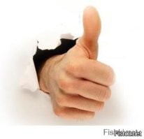 OnePlus Nord CE 3 Lite 5G – народный смартфон уже в России