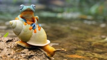 Фотоподборка