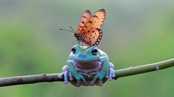 Фотоподборка