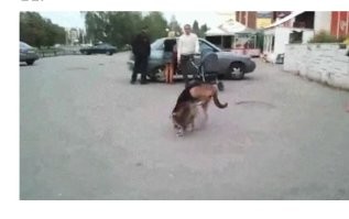 Просто гифки, всякие и&nbsp;разные