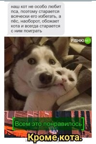 Комментарии и картинки из соцсетей. Свежак за 20 апреля