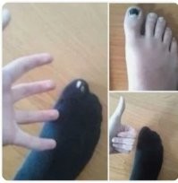 Не ищите здесь смысл. Здесь в основном маразм