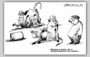 Смешные картинки с комментариями из социальных сетей