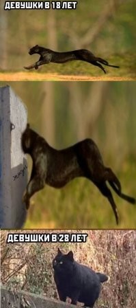 Не ищите здесь смысл. Здесь в основном маразм