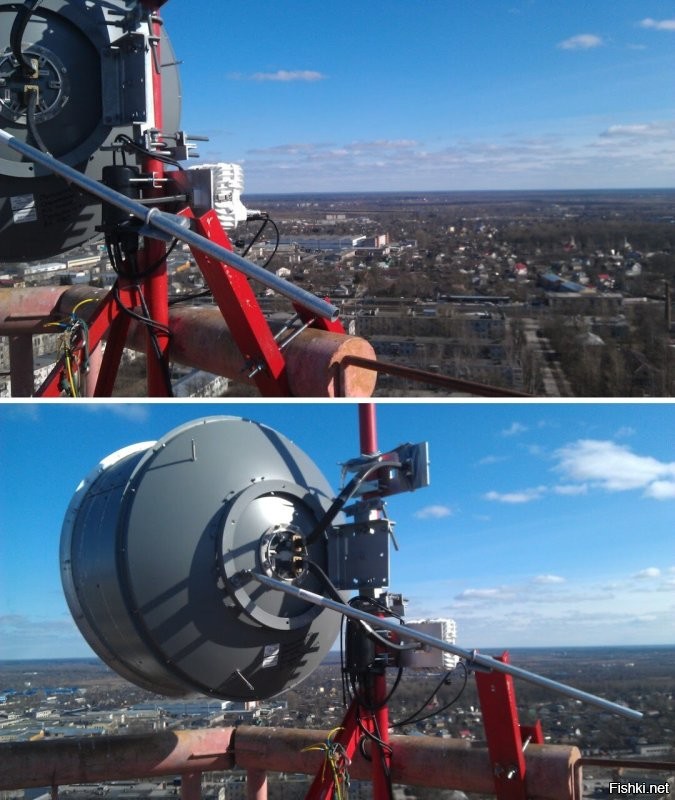 Сам ты, фотошопер!