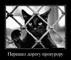 Странные суеверия со всего мира, в которые люди искренне верят