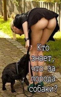 Сука