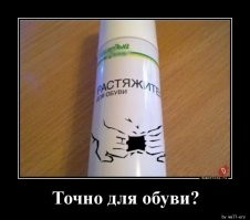 Комментарии и картинки из соцсетей. Свежак за 23 апреля