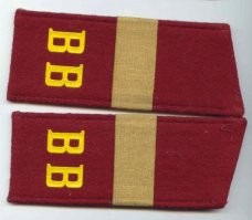 Никто не любил "велосипедистов" в Союзе. Так сложилось. 
 Сегодня та же фигня? Не хотят идти в "охранку" ?
 Ну, так не сажайте "политических".
 Это у людей на уровне инстинкта. Особенно в России.