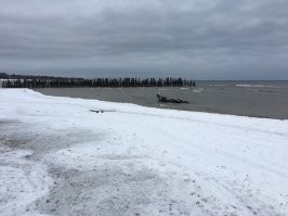 У нас в Юрмале у нашего дома на пляже был старый рыбацкий пирс т/к деревня ( хутор ) рыбаков , этим сваям больше чем 100 лет и все еще стоят они , мне нравиться там окуней таскать и зимой и летом , да и местные все любят там на камнях посидеть а вот в отлив можно ноги убить о затонувшую рыбацкую лодку , под песком еще остался остов но ни кому до этого дела нет , местный дед сосед рассказывал что это еще в войну она там затонула .