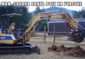 Комментарии и картинки из соцсетей. Свежак за 23 апреля